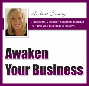 Awaken Your Business 300x291