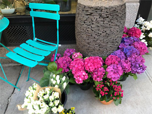 spring patio flowers