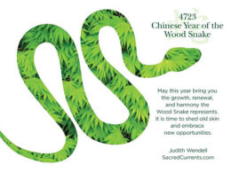 4723 Year of the Snake