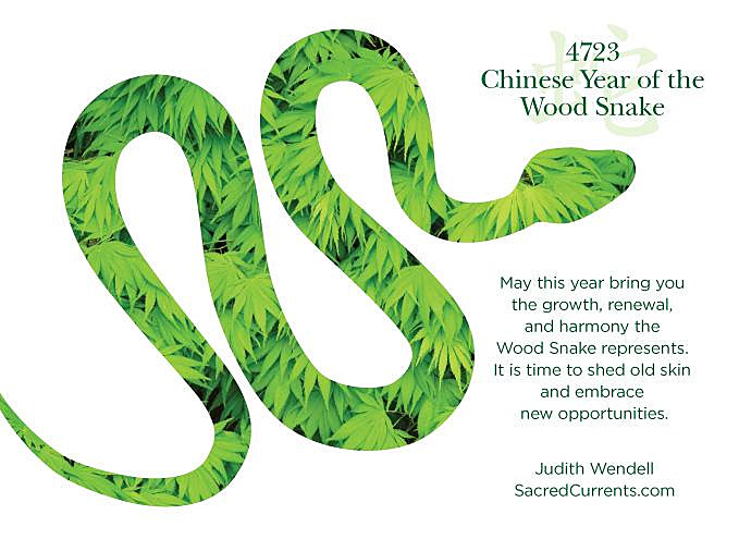 4723 Year of the Snake