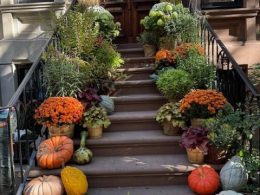 pumpkins & flowers on stairs