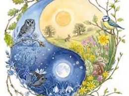 yin yang Earth
