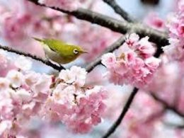 Passover, Easter, spring